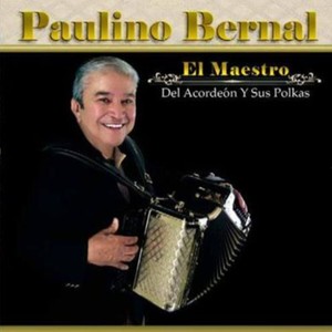 El Maestro Del Acordeon Y Sus Polkas