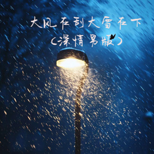 大风在刮大雪在下 (深情男声版)
