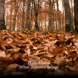 What Autumn Brings