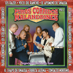 Puros Corridos Malandrines Vol. 2