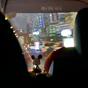 No Buses - Slip, Fall, Sleep