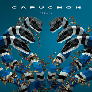 Capuchon (Inst.)