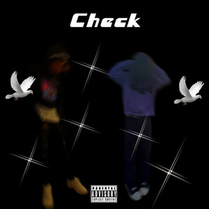 Check (Explicit)