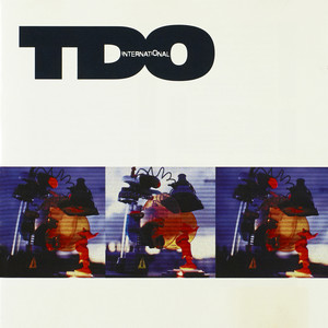 Tdo International