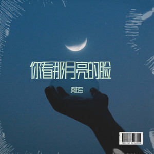 你看你看月亮的脸-秦进宝