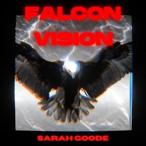 Falcon Vision