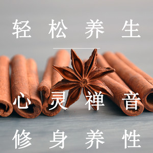 心灵禅音（轻音乐）