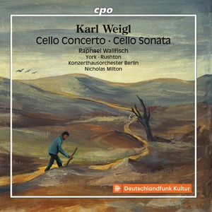 Cello Concerto - I. Allegro moderato