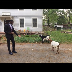 Questions (feat. Rev.lution)