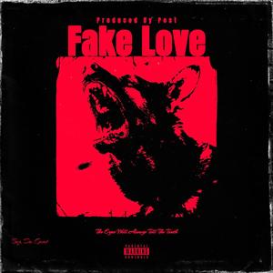 Fake love (feat. BGF DRE) (Explicit)