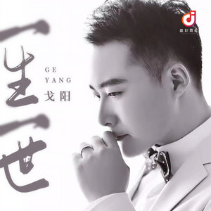 一生一世 (DJ版伴奏)