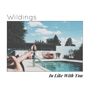 In Like with You (Explicit)