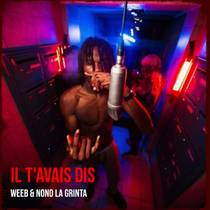 Il t'avais dis (Explicit)