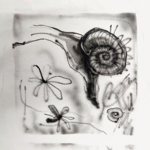 Escargot01