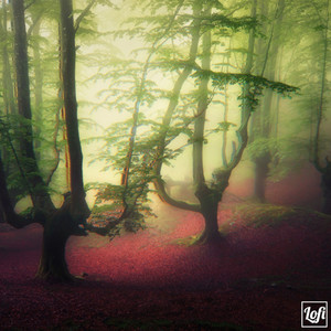 happiness is only real when shared