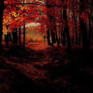 Autumn Pack (Explicit)