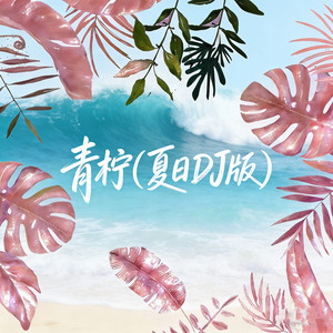 青柠 (夏日DJ版)封面