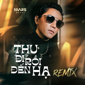 Thu Đi Rồi Đến Hạ (Remix)