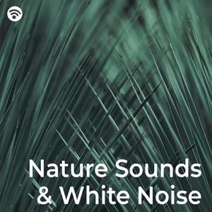 Nature Sounds & Green Noise Pt. 1 (Loopable, No Fade)