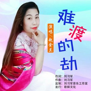 难渡的劫封面