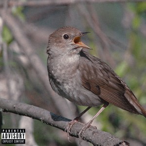 Chik Chirik (Explicit)