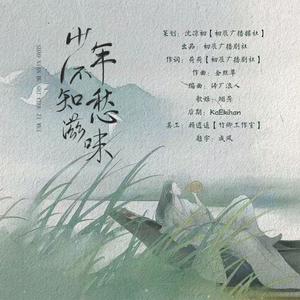 少年不知愁滋味伴奏