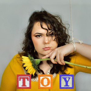 Toy