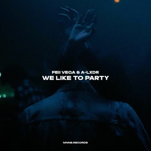 We Like to Party (Original Mix)