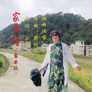 家乡情 (舞曲版)