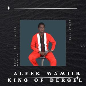 Aleek Mamiir King Of Dergel