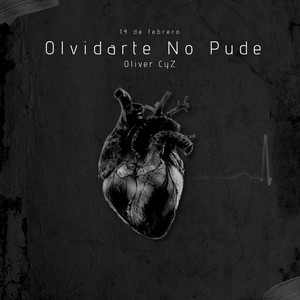 Olvidarte No Pude