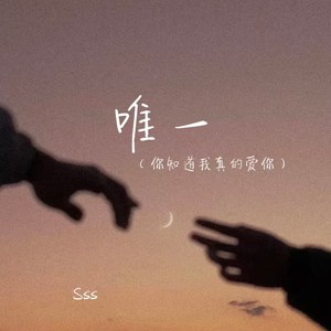 唯一（你知道我真的爱你）-Sss