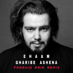 Gharibe Ashena (Farshid Aria Remix)