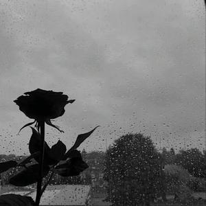 We Used To Be Close (Explicit)