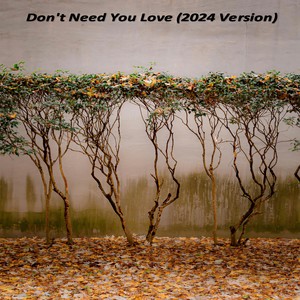 Don't Need You Love (2024 Version)