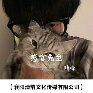 感官先生