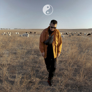 Инь Янь (Explicit)