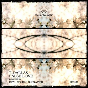 False Love (Eyal Cohen Remix)