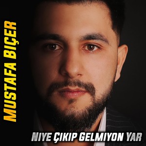 Niye Çıkıp Gelmiyon Yar