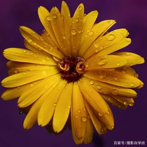 我不知道谁是李兰迪