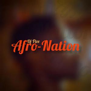 Afro Nation