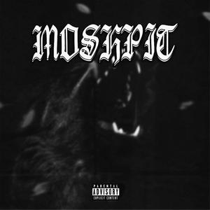 Moshpit (Explicit)