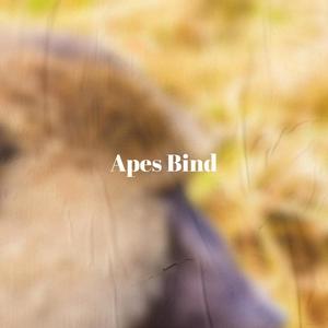 Apes Bind