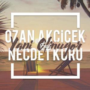 Yani Olmuyor (feat. Necdet Kuru) [Radio Edit]