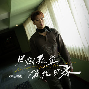 只剩孤单陪我回家