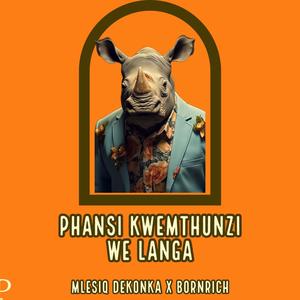 Phansi KweMthunzi WeLanga (feat. BornRich)