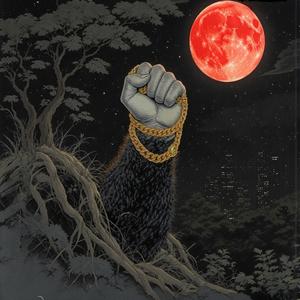 OTHER DIMENSIONS (feat. Nowaah The Flood) (Explicit)