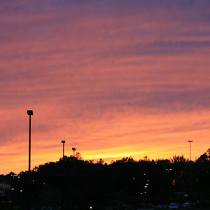 Long Gone (Explicit)