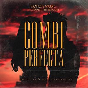 Combi Perfecta (feat. Gonza Music)