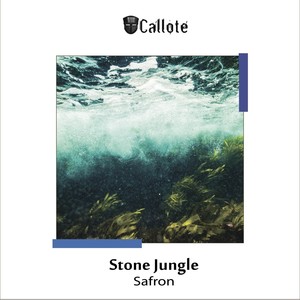 Stone Jungle